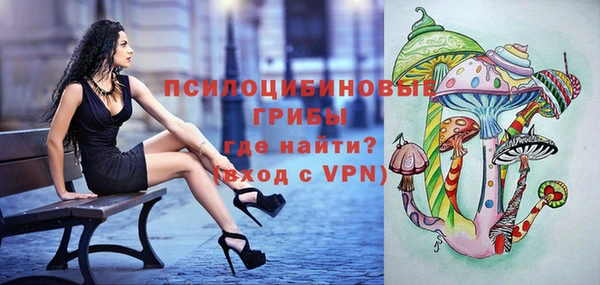 индика Абдулино