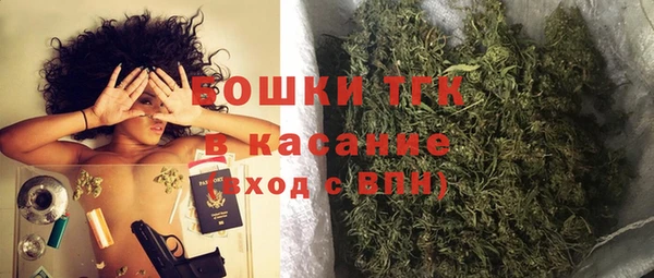 индика Абдулино