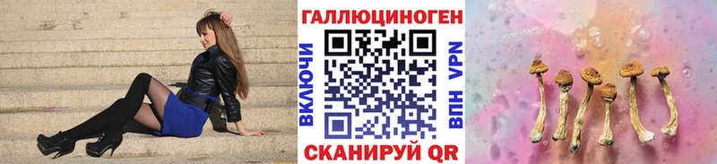 даркнет состав  Звенигород  Галлюциногенные грибы Cubensis 